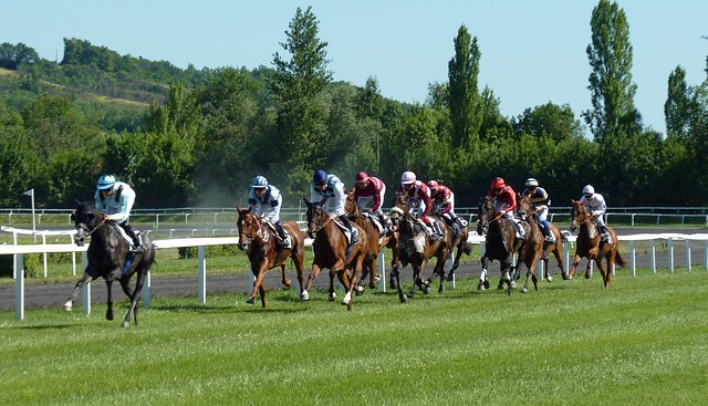 grand national – Ladies Day – How big is it?