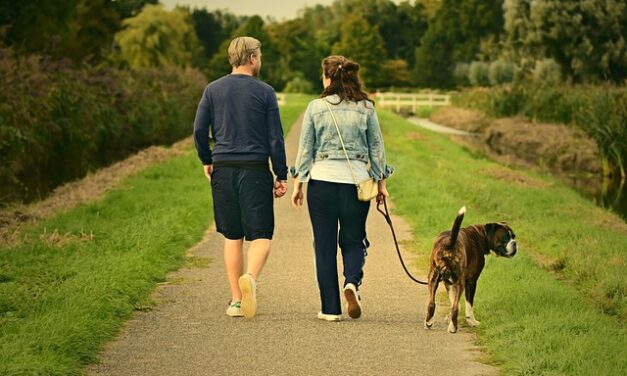 Where to go for nice walk with the Dog if your away for the Weekend in North West of England?
