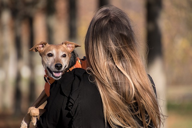 Celebrating National Pet Month 2024: A Tribute to the Beloved Companions of Our Lives