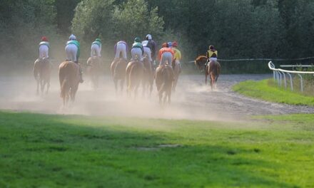 What are the Racing Fixtures at York Races Today?
