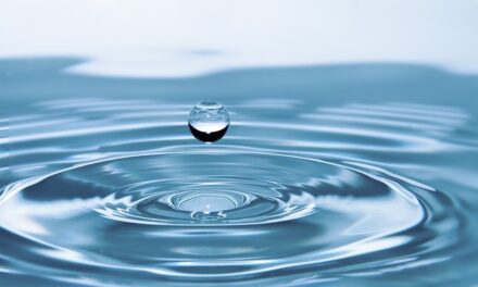 Water Saving Week 2024: A Call to Action for a Sustainable Future
