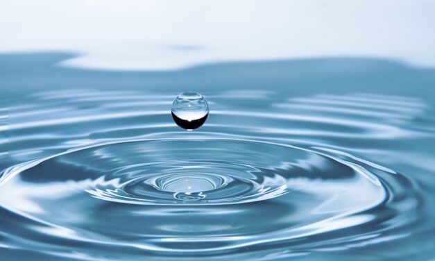 Water Saving Week 2024: A Call to Action for a Sustainable Future