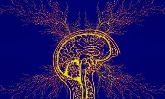 National Epilepsy Week 2024: Raising Awareness and Understanding