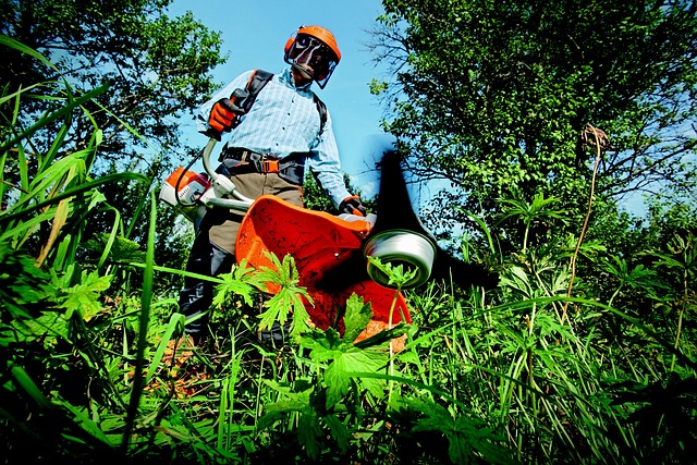 The Ultimate Guide to Planting Fruits and Vegetables in June 2024
