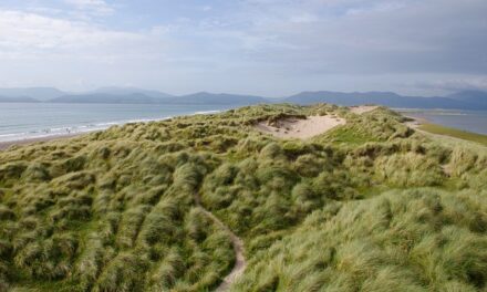 Unveiling the Emerald Greens: A Guide to the Famous Golf Courses of Northern Ireland