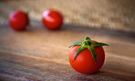 British Tomato Fortnight 2024: Celebrating Homegrown Goodness