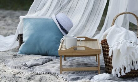 National Picnic Week 2024: Celebrating the Joy of Outdoor Dining