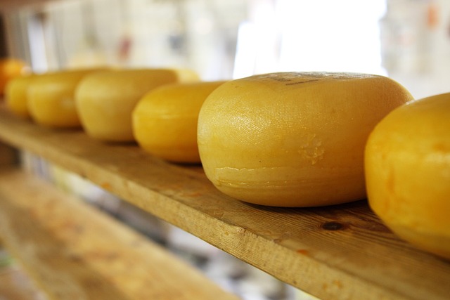 The Cheese Rolling Race: A Tumultuous Tradition