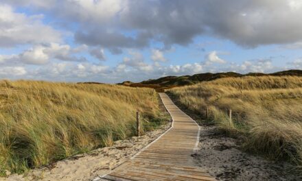 Exploring the Enigmatic North East: A 5-Day Road Trip Through England’s Hidden Gems
