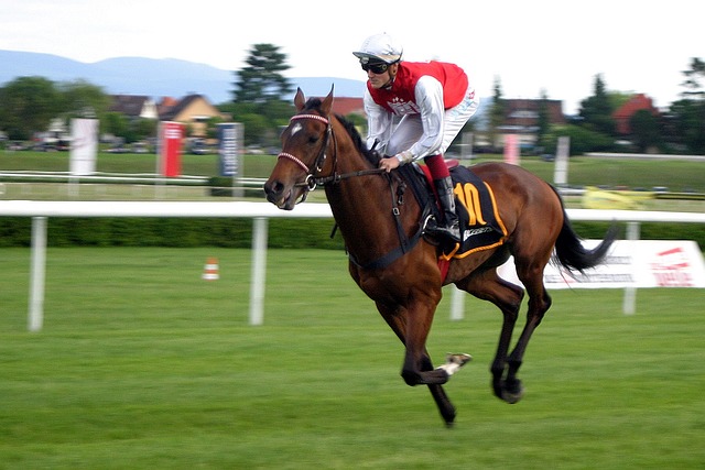 Exciting Horse Racing Festivals to Look Forward to Next Week