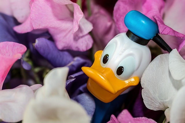 10 Unknown Facts About Donald Duck