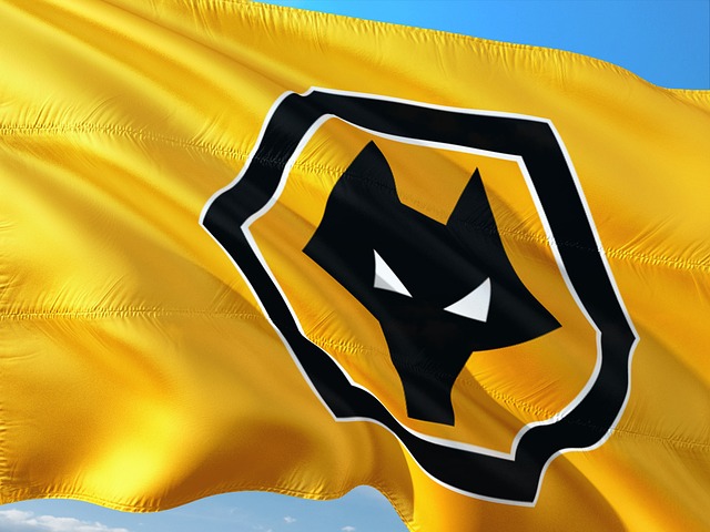 Wolverhampton Wanderers’ 2024/25 Premier League Fixture Breakdown