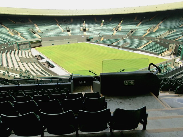 Wimbledon 2024: An Anticipated Battle of Titans and Rising Stars