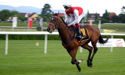 Day 2 Preview of Royal Ascot 2024