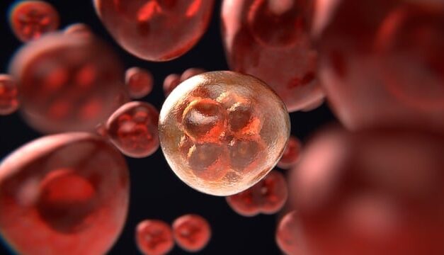 Understanding Prostate Cancer: Symptoms, Diagnosis, and Where to Get Checked in the UK