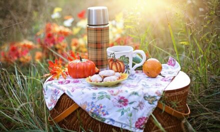 Celebrate the Great Outdoors: National Picnic Week 2024