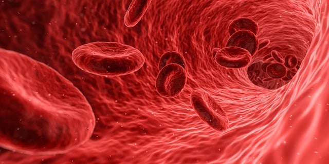 The Vital Role of O-Type Blood Donors and Where You Can Donate