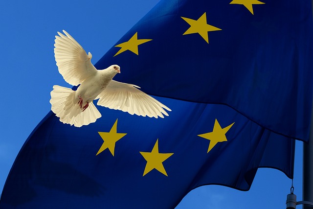 What You Need to Know About the European Elections in 2024