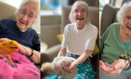 Exotic animals bring joy to Derbyshire care home residents