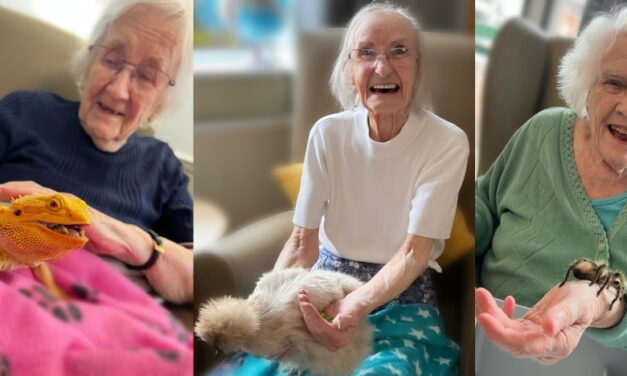 Exotic animals bring joy to Derbyshire care home residents