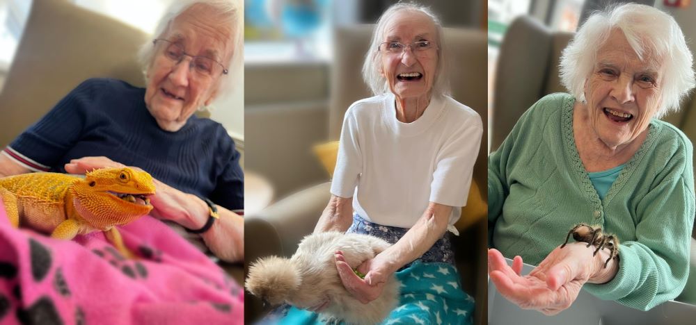 Exotic animals bring joy to Derbyshire care home residents