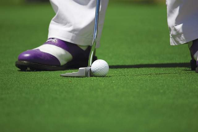 The Contenders for the Golf Open: Who Could Win?