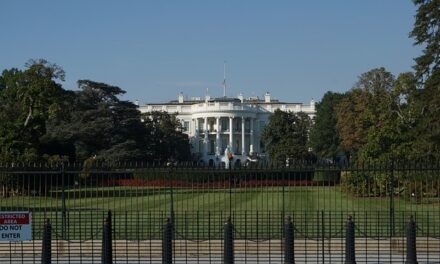 The Impact of the U.S. Presidential Race on the UK Economy