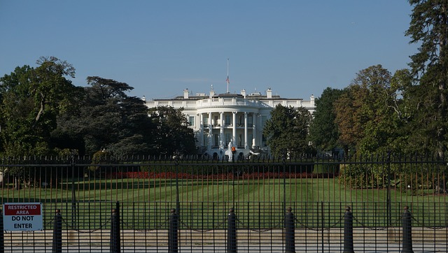 The Impact of the U.S. Presidential Race on the UK Economy