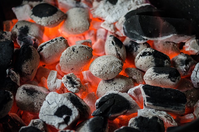 The Ultimate Guide to Preparing for a BBQ