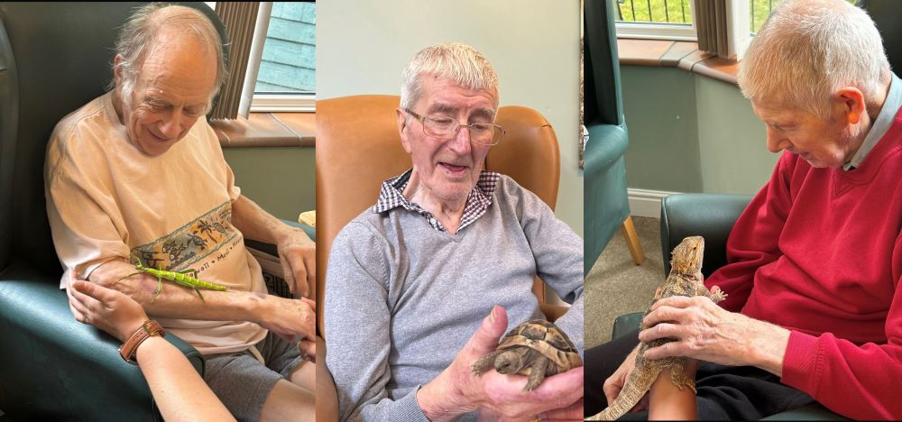 Elderly benefit from mini zoo experience at their Chesterfield care home