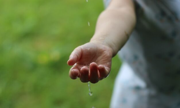 7 Simple Sustainability Tips You Can Implement This Week