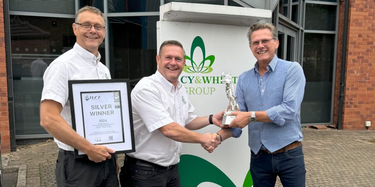 MultiWebMarketing™ Wins Prestigious Global NYX Award