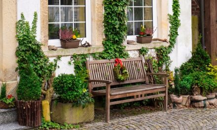 What to do to get your garden ready for autumn