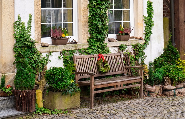 What to do to get your garden ready for autumn
