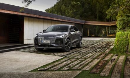 Exciting design and longest range in the model family: the new Audi Q6 Sportback e-tron
