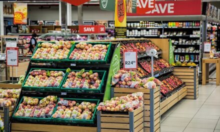 A Guide to Affordable Grocery Shopping for Families on a Budget
