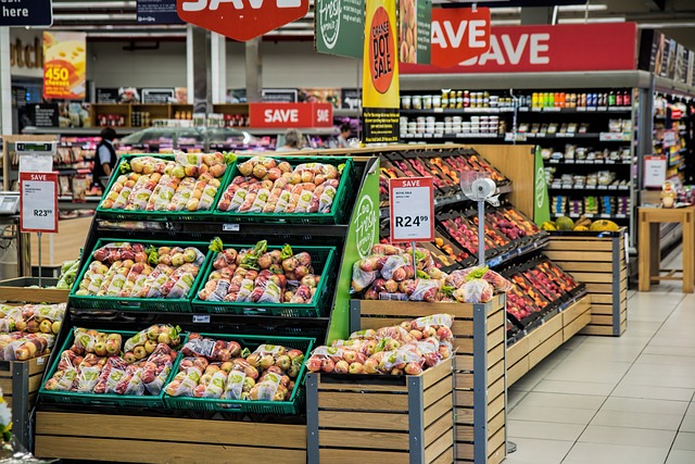 A Guide to Affordable Grocery Shopping for Families on a Budget
