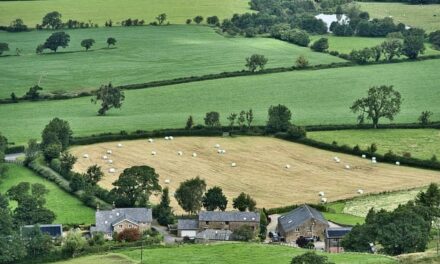 The UK Farming Industry in 2024: Navigating Change and Embracing Opportunities