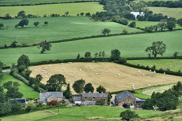 Tina Dingle: The Enigmatic Emmerdale Character Who Left a Lasting Legacy