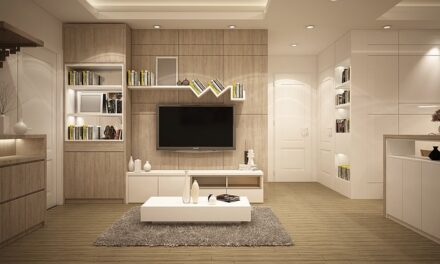 Why You Should Consider Converting Your Heater to a Heat Pump System