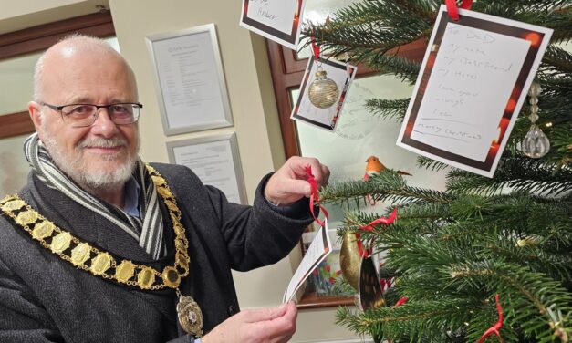 Families flock to remember their loved ones as Gillotts launches its 2024 Christmas tree appeal