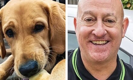 Ian Russell of Ovenu Ashby sponsors ‘sweet and charming’ Guide Dogs pup Ralph
