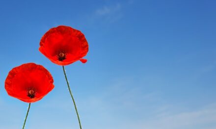What is Remeberance Sunday?