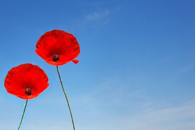 What is Remeberance Sunday?
