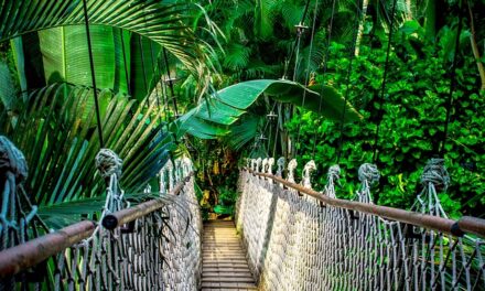 Emotional Stories and Jungle Struggles: A Recap of I’m a Celebrity… Get Me Out of Here! Day 6