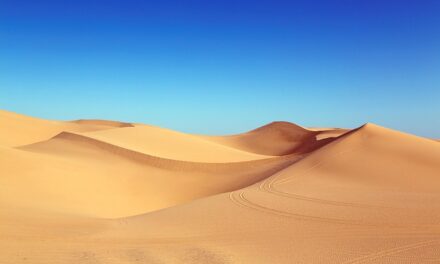 Exploring “Dune: Prophecy”: A Deep Dive into the Bene Gesserit’s Origins