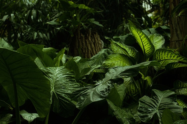 The Jungle Awaits: Meet the Cast of I’m A Celebrity…Get Me Out of Here! 2024