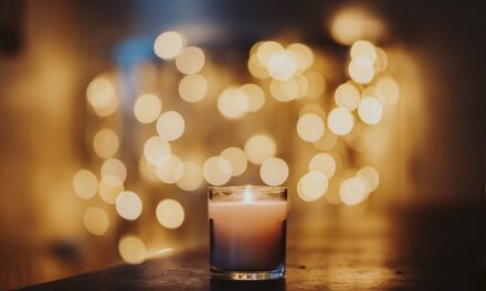 The Best Christmas Lights to Buy for 2024: Illuminate Your Festive Season