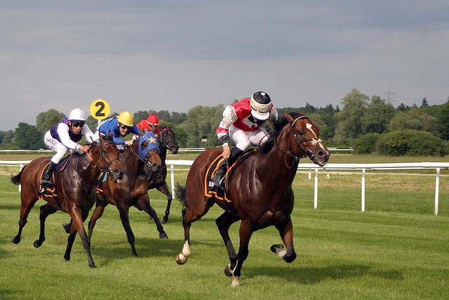 UK Horse Racing on Thursday, 28th November 2024: Meetings and Tips