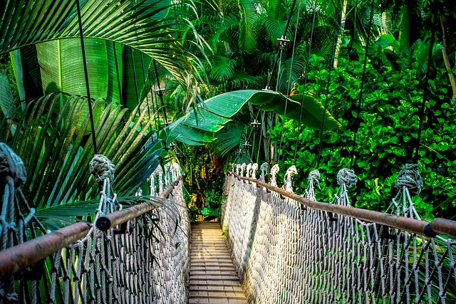 Heartfelt Moments and Jungle Setbacks: A Recap of I’m a Celebrity… Get Me Out of Here! Day 3